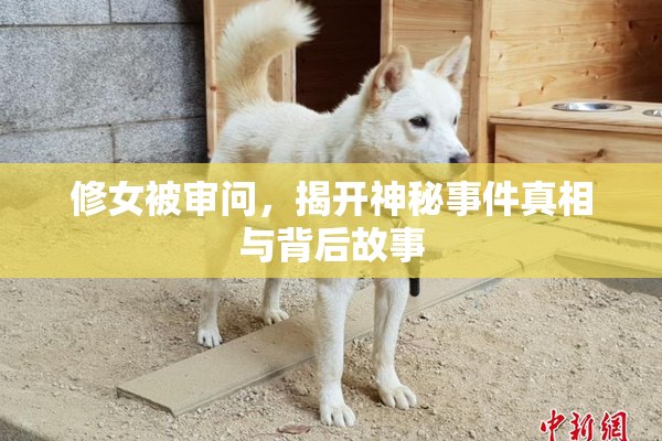 修女被审问，揭开神秘事件真相与背后故事