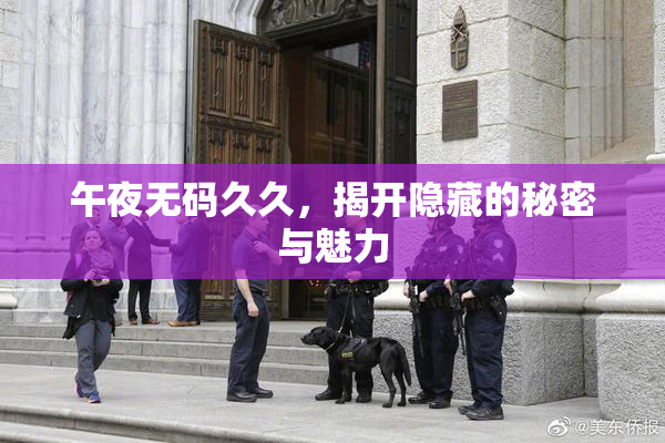 午夜无码久久，揭开隐藏的秘密与魅力