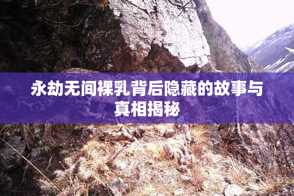 永劫无间裸乳背后隐藏的故事与真相揭秘