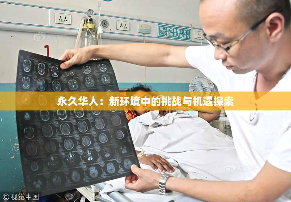 永久华人：新环境中的挑战与机遇探索