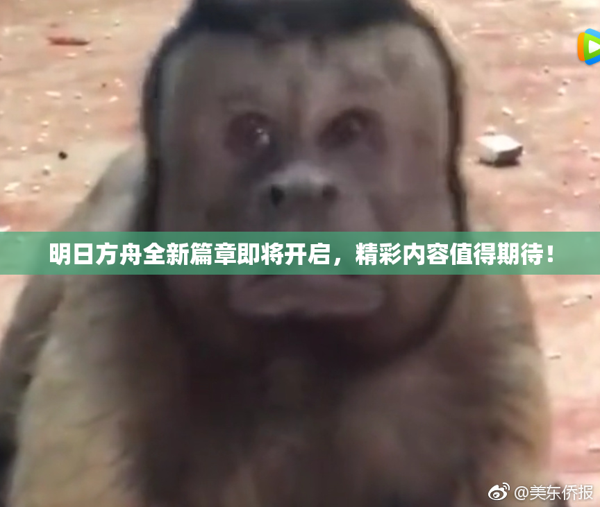 明日方舟全新篇章即将开启，精彩内容值得期待！