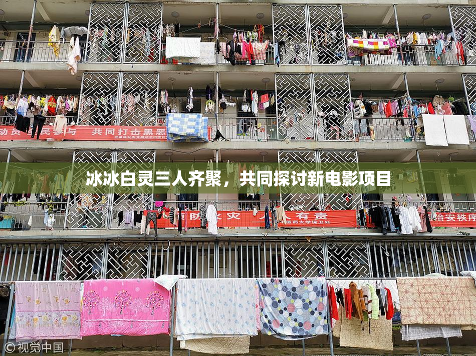 冰冰白灵三人齐聚，共同探讨新电影项目