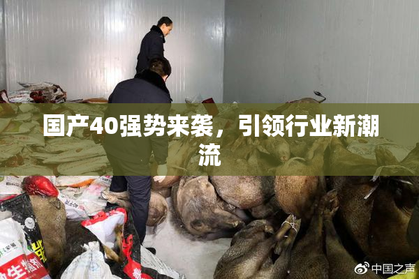 国产40强势来袭，引领行业新潮流