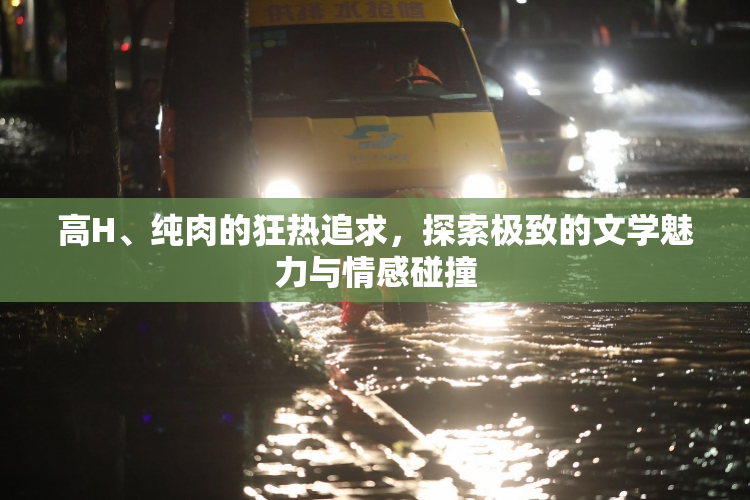 高H、纯肉的狂热追求，探索极致的文学魅力与情感碰撞