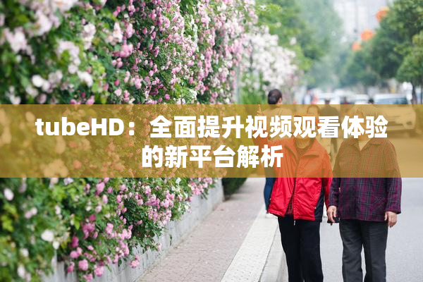 tubeHD：全面提升视频观看体验的新平台解析