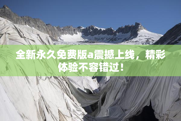 全新永久免费版a震撼上线，精彩体验不容错过！