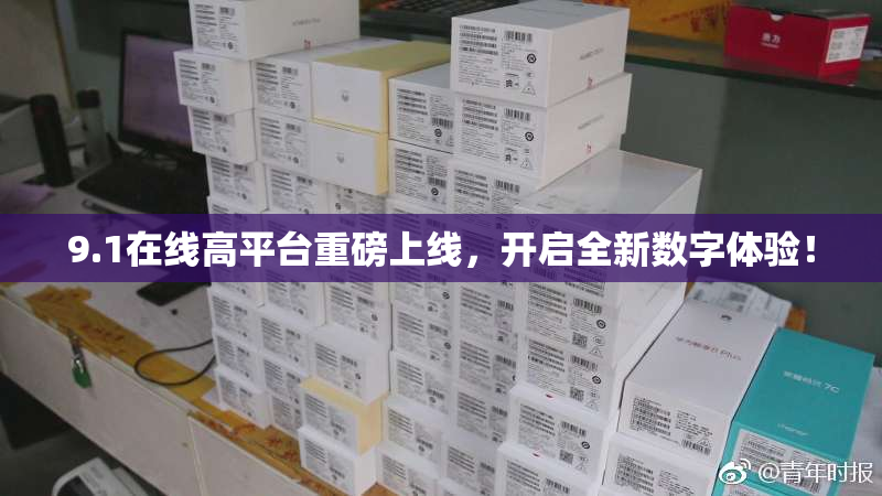 9.1在线高平台重磅上线，开启全新数字体验！