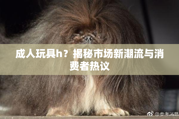 成人玩具h？揭秘市场新潮流与消费者热议
