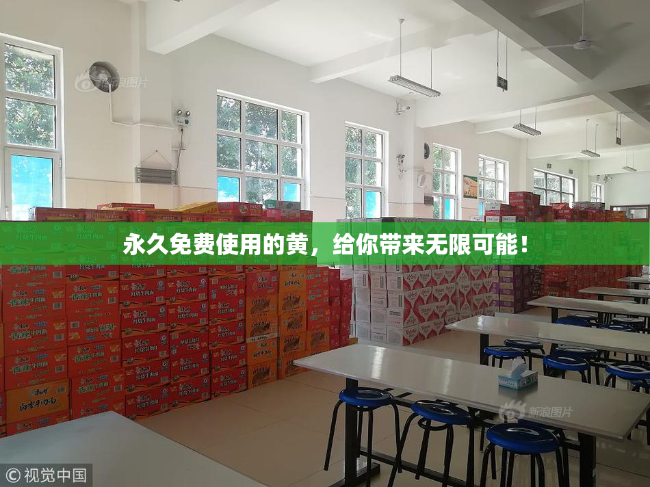 永久免费使用的黄，给你带来无限可能！