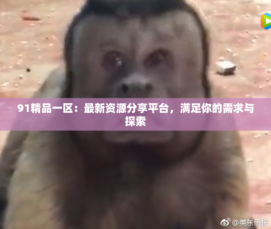 91精品一区：最新资源分享平台，满足你的需求与探索