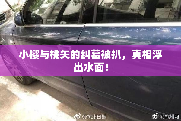 小樱与桃矢的纠葛被扒，真相浮出水面！