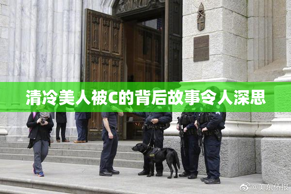 清冷美人被C的背后故事令人深思