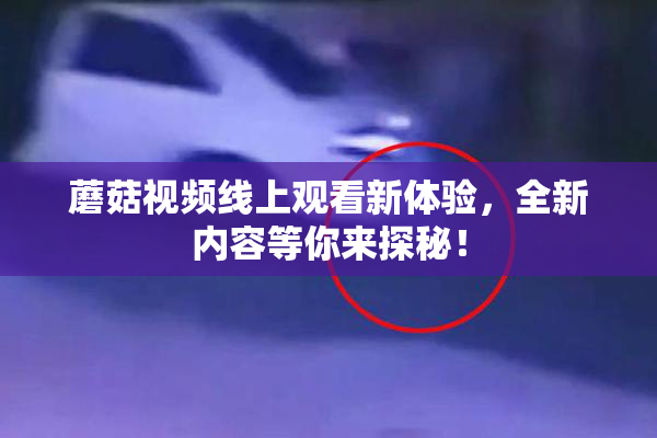蘑菇视频线上观看新体验，全新内容等你来探秘！