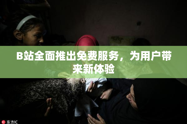 B站全面推出免费服务，为用户带来新体验