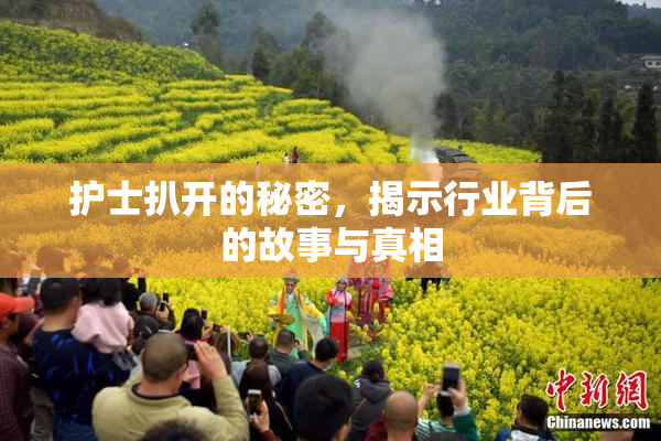 护士扒开的秘密，揭示行业背后的故事与真相