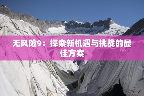 无风险9：探索新机遇与挑战的最佳方案