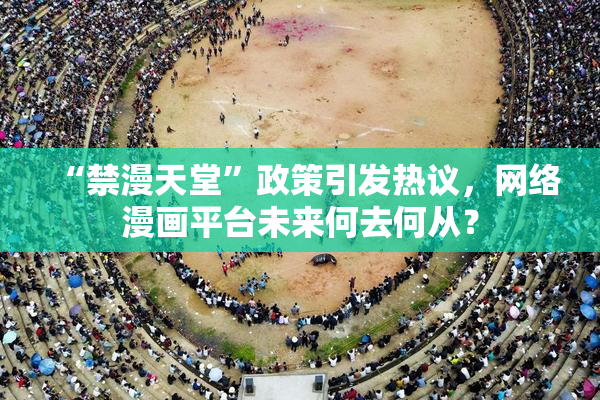 “禁漫天堂”政策引发热议，网络漫画平台未来何去何从？