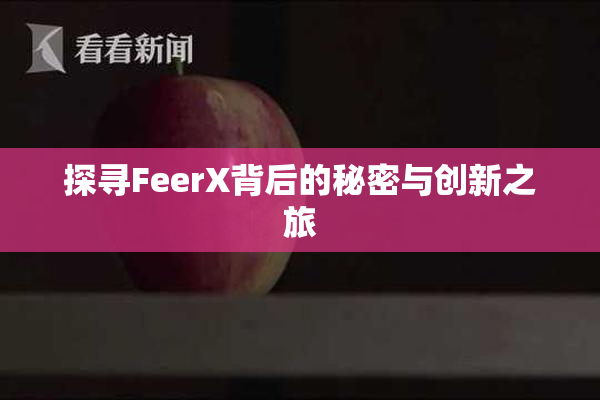 探寻FeerX背后的秘密与创新之旅