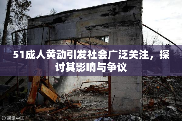 51成人黄动引发社会广泛关注，探讨其影响与争议