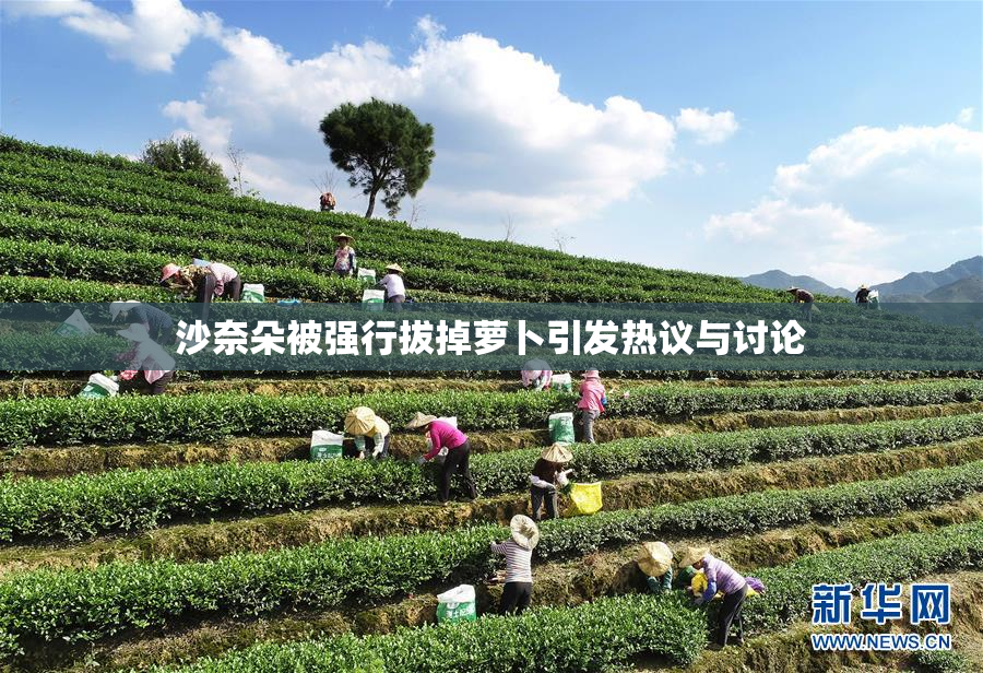 沙奈朵被强行拔掉萝卜引发热议与讨论