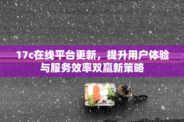 17c在线平台更新，提升用户体验与服务效率双赢新策略