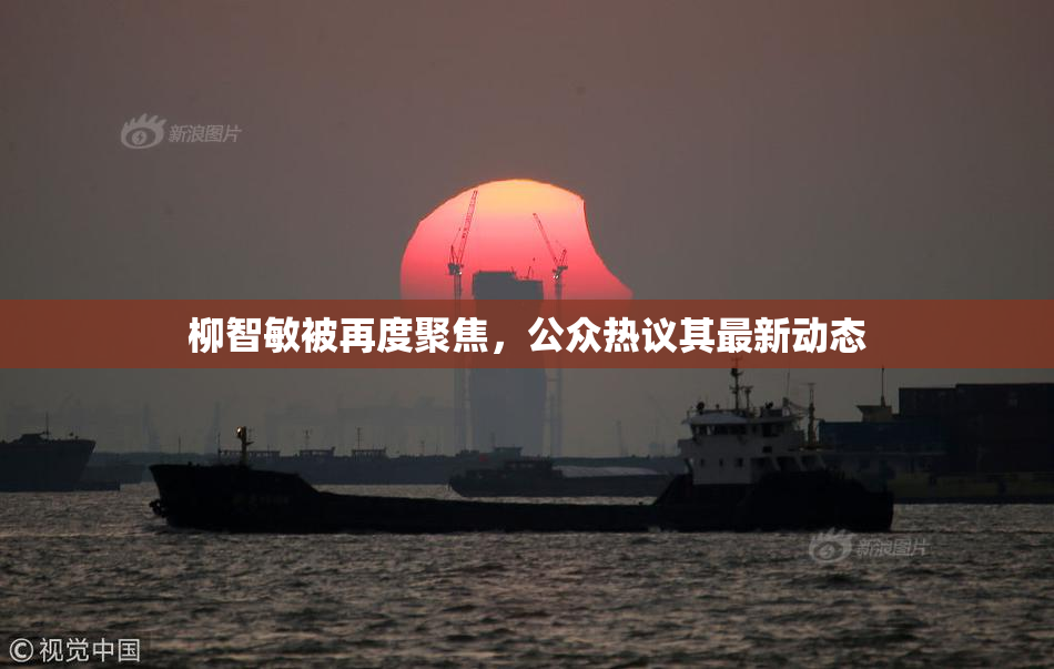 柳智敏被再度聚焦，公众热议其最新动态