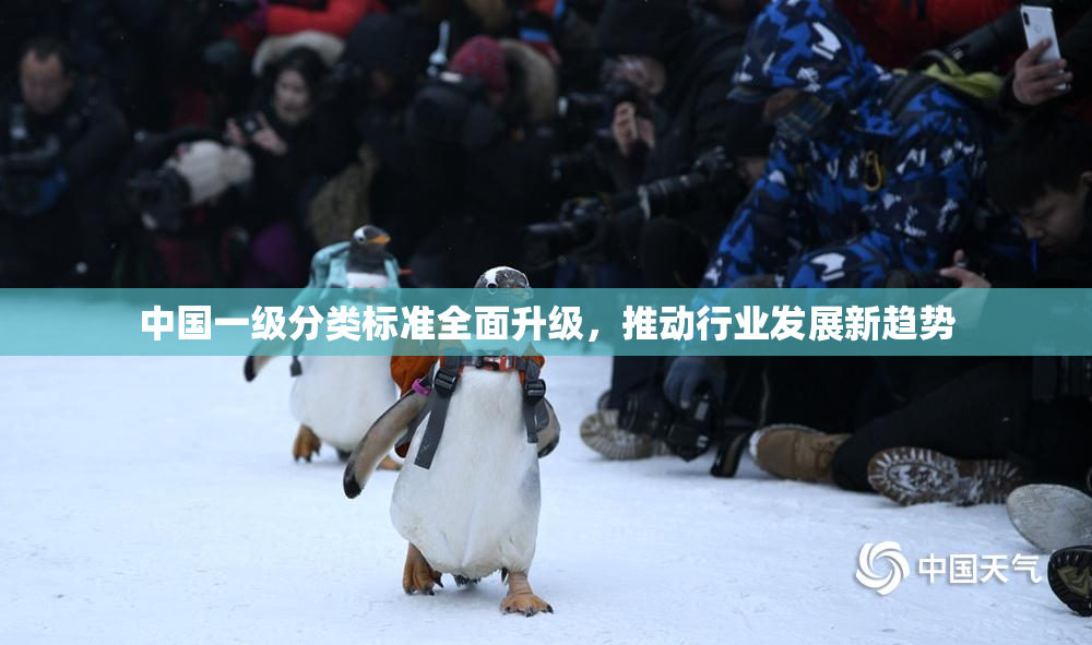 中国一级分类标准全面升级，推动行业发展新趋势