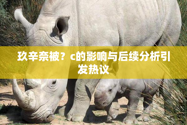玖辛奈被？c的影响与后续分析引发热议