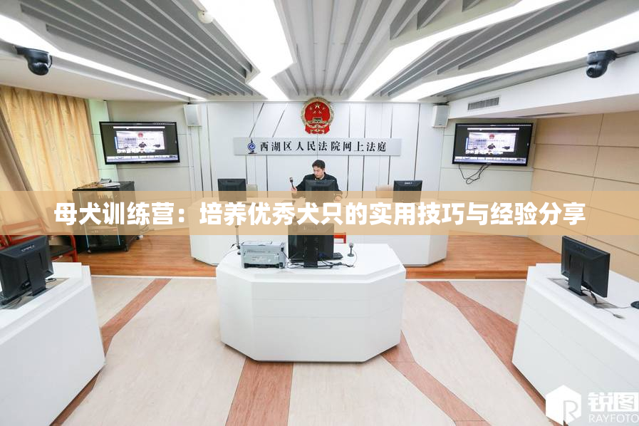 母犬训练营：培养优秀犬只的实用技巧与经验分享