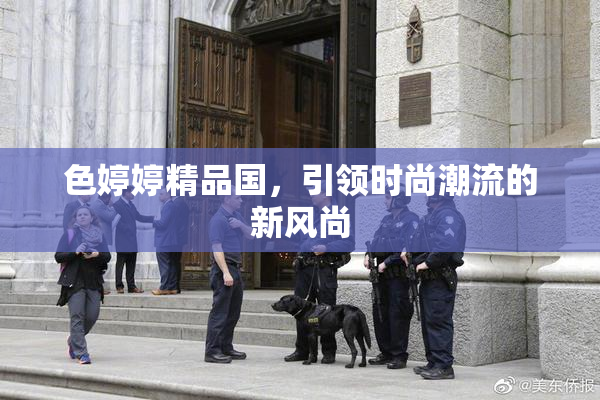 色婷婷精品国，引领时尚潮流的新风尚