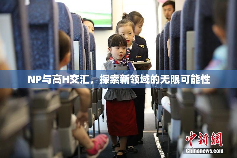 NP与高H交汇，探索新领域的无限可能性