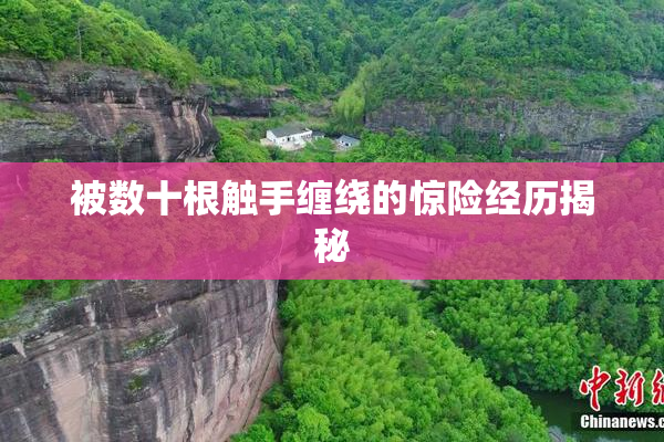 被数十根触手缠绕的惊险经历揭秘