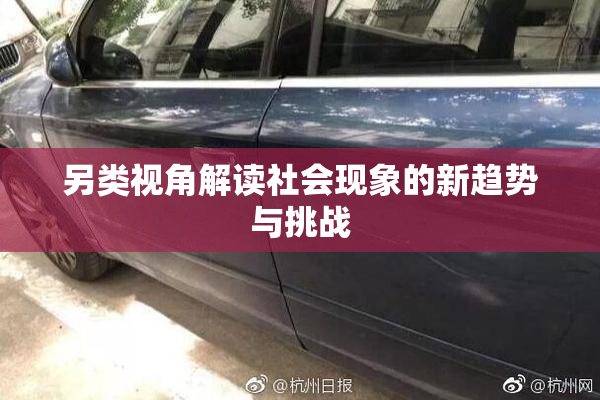 另类视角解读社会现象的新趋势与挑战