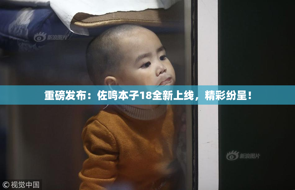重磅发布：佐鸣本子18全新上线，精彩纷呈！