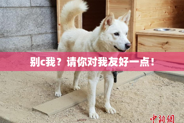 别c我？请你对我友好一点！
