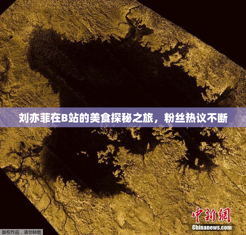 刘亦菲在B站的美食探秘之旅，粉丝热议不断