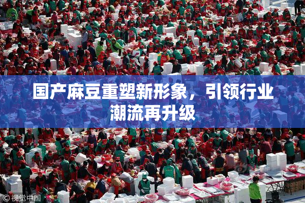 国产麻豆重塑新形象，引领行业潮流再升级