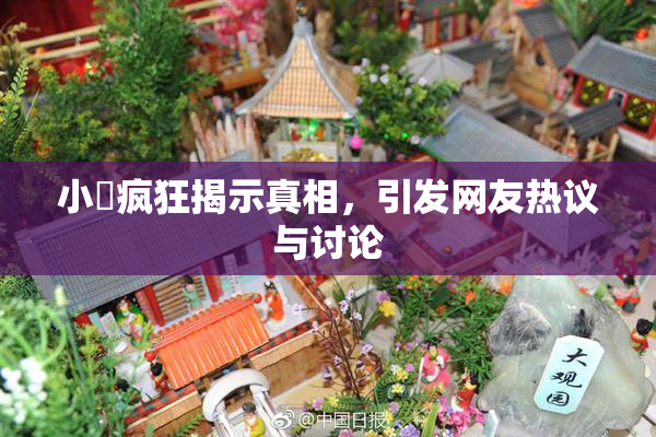 小泬疯狂揭示真相，引发网友热议与讨论
