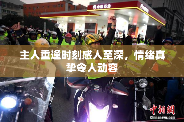 主人重逢时刻感人至深，情绪真挚令人动容