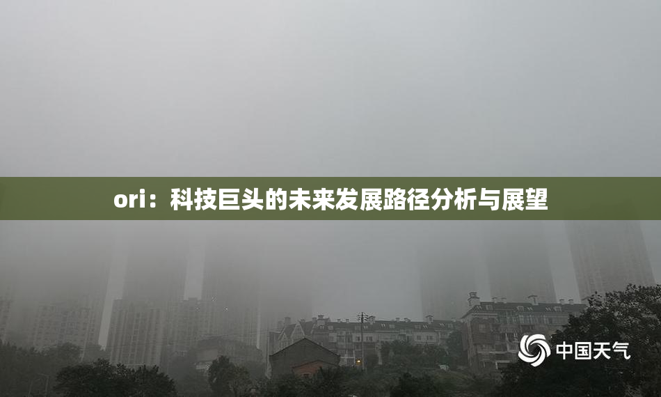 ori：科技巨头的未来发展路径分析与展望