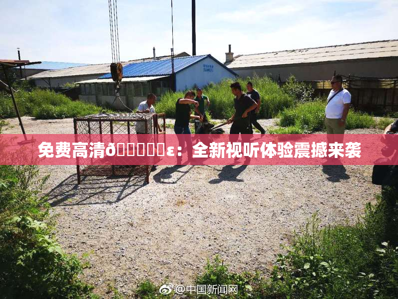 免费高清🔞❌‌ε：全新视听体验震撼来袭