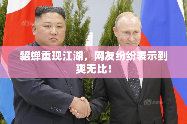 貂蝉重现江湖，网友纷纷表示到爽无比！