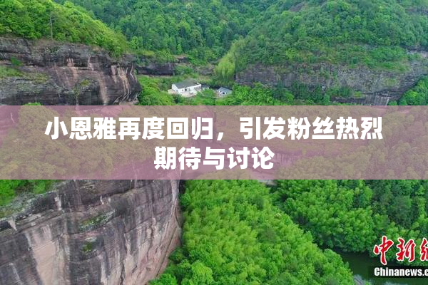小恩雅再度回归，引发粉丝热烈期待与讨论
