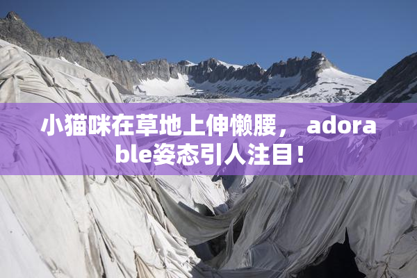 小猫咪在草地上伸懒腰， adorable姿态引人注目！