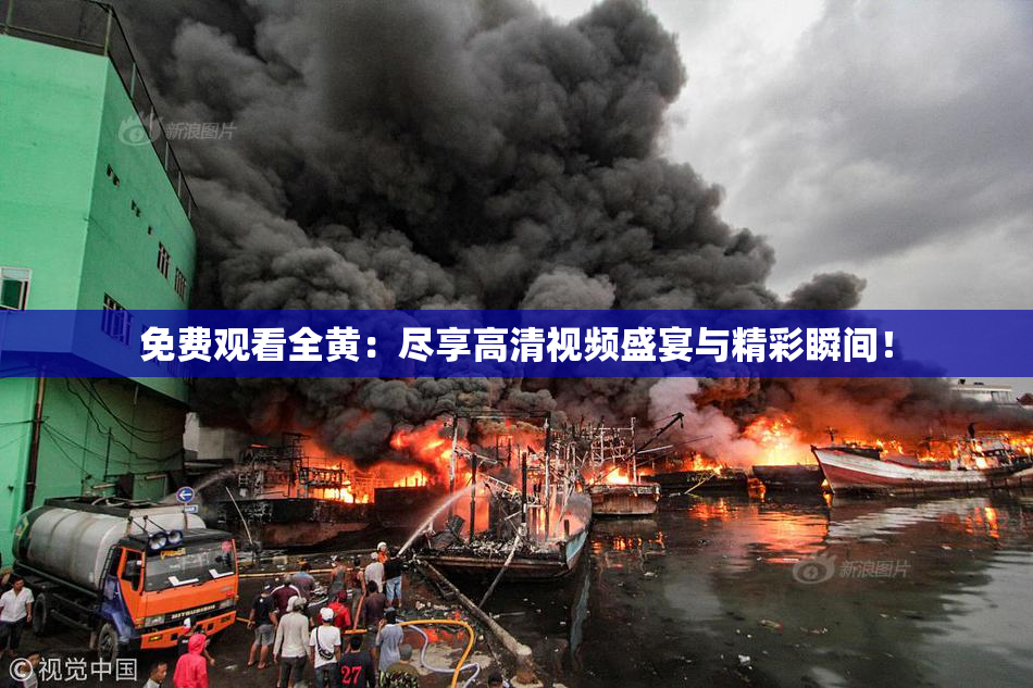 免费观看全黄：尽享高清视频盛宴与精彩瞬间！