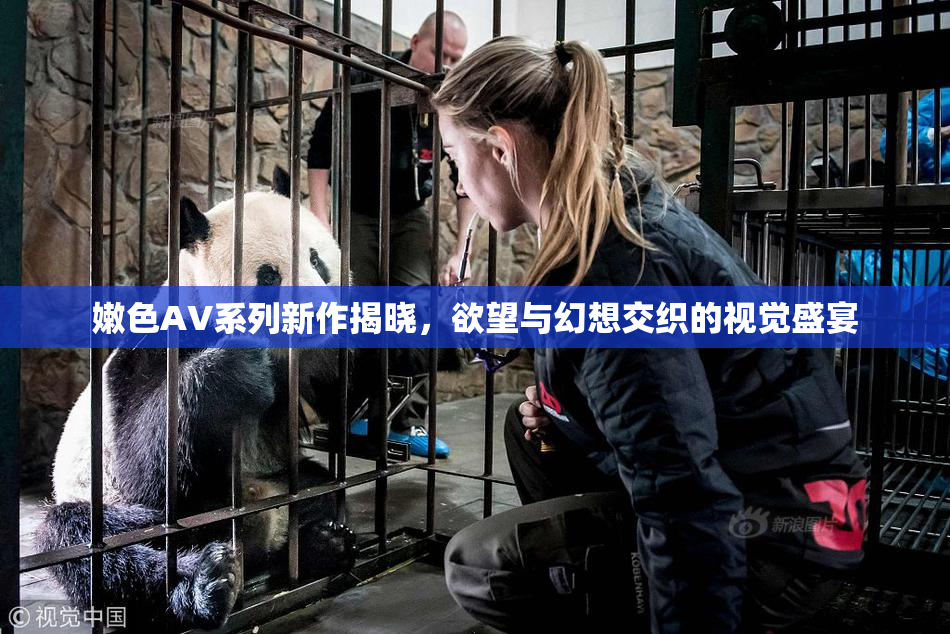 嫩色AV系列新作揭晓，欲望与幻想交织的视觉盛宴