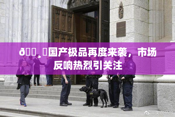 🌸‌国产极品再度来袭，市场反响热烈引关注