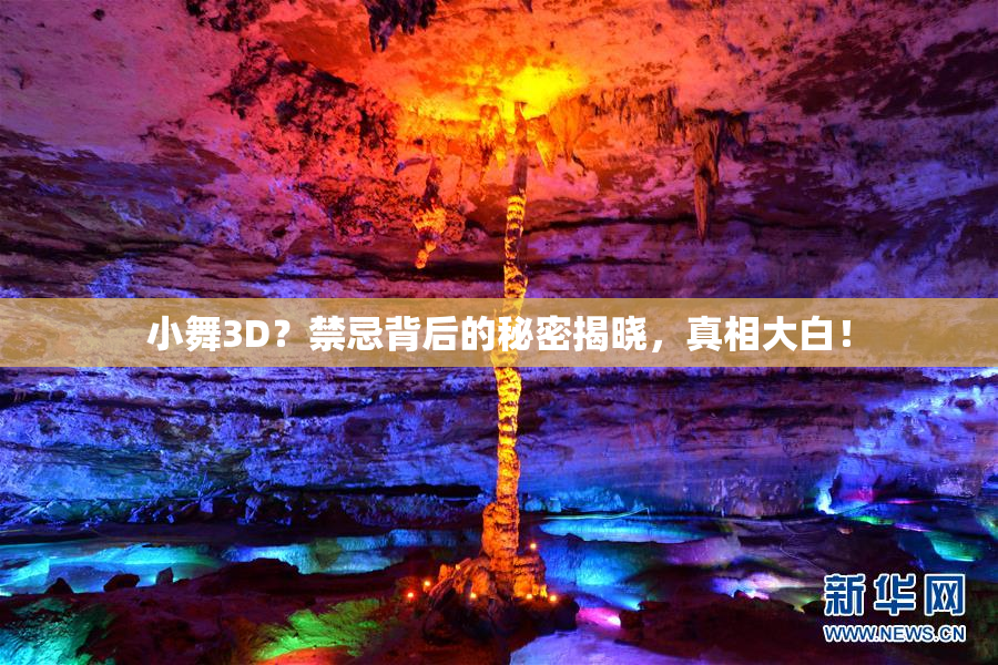 小舞3D？禁忌背后的秘密揭晓，真相大白！