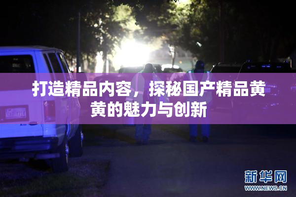 打造精品内容，探秘国产精品黄黄的魅力与创新