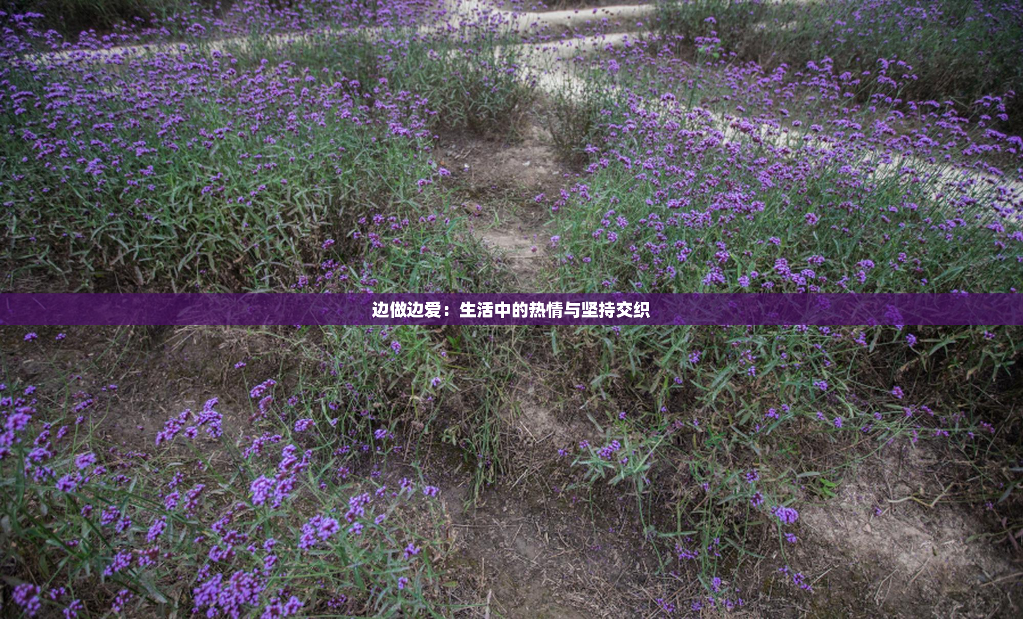 边做边爱：生活中的热情与坚持交织
